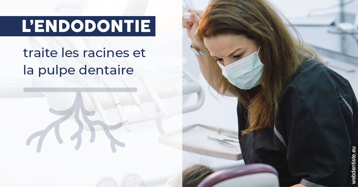 https://dr-prats-cecile.chirurgiens-dentistes.fr/L'endodontie 1