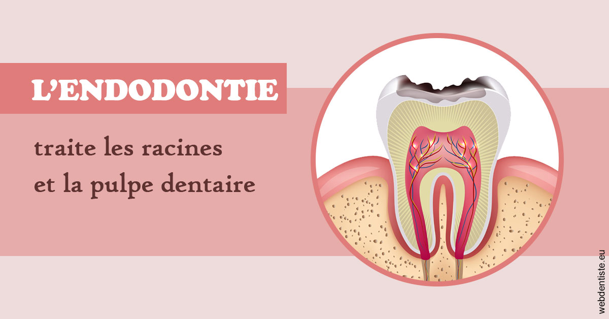 https://dr-prats-cecile.chirurgiens-dentistes.fr/L'endodontie 2